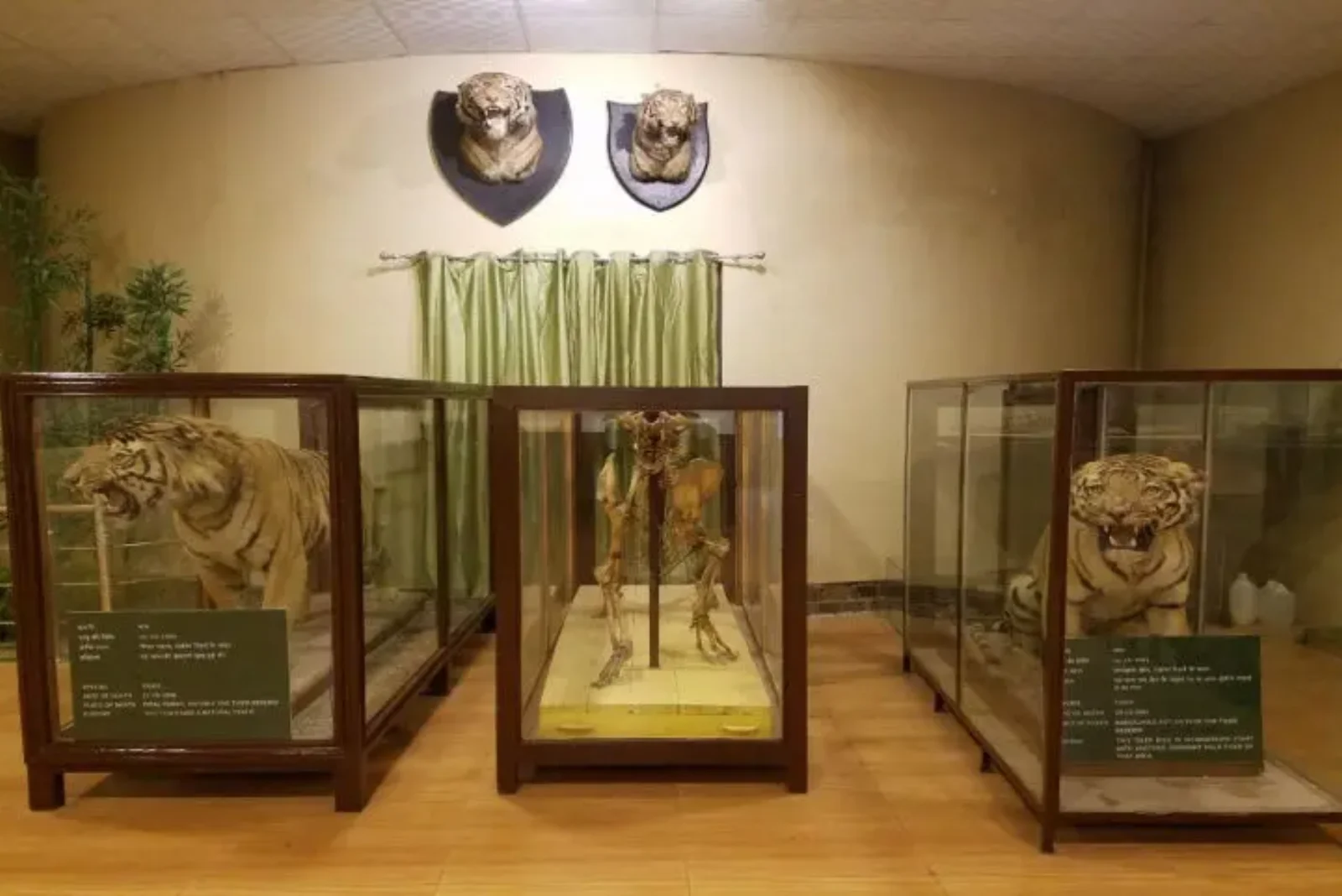 Corbett Museum in Kaladhungi
