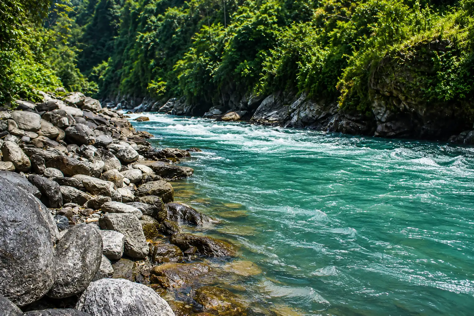 Kosi River flowing through Corbett