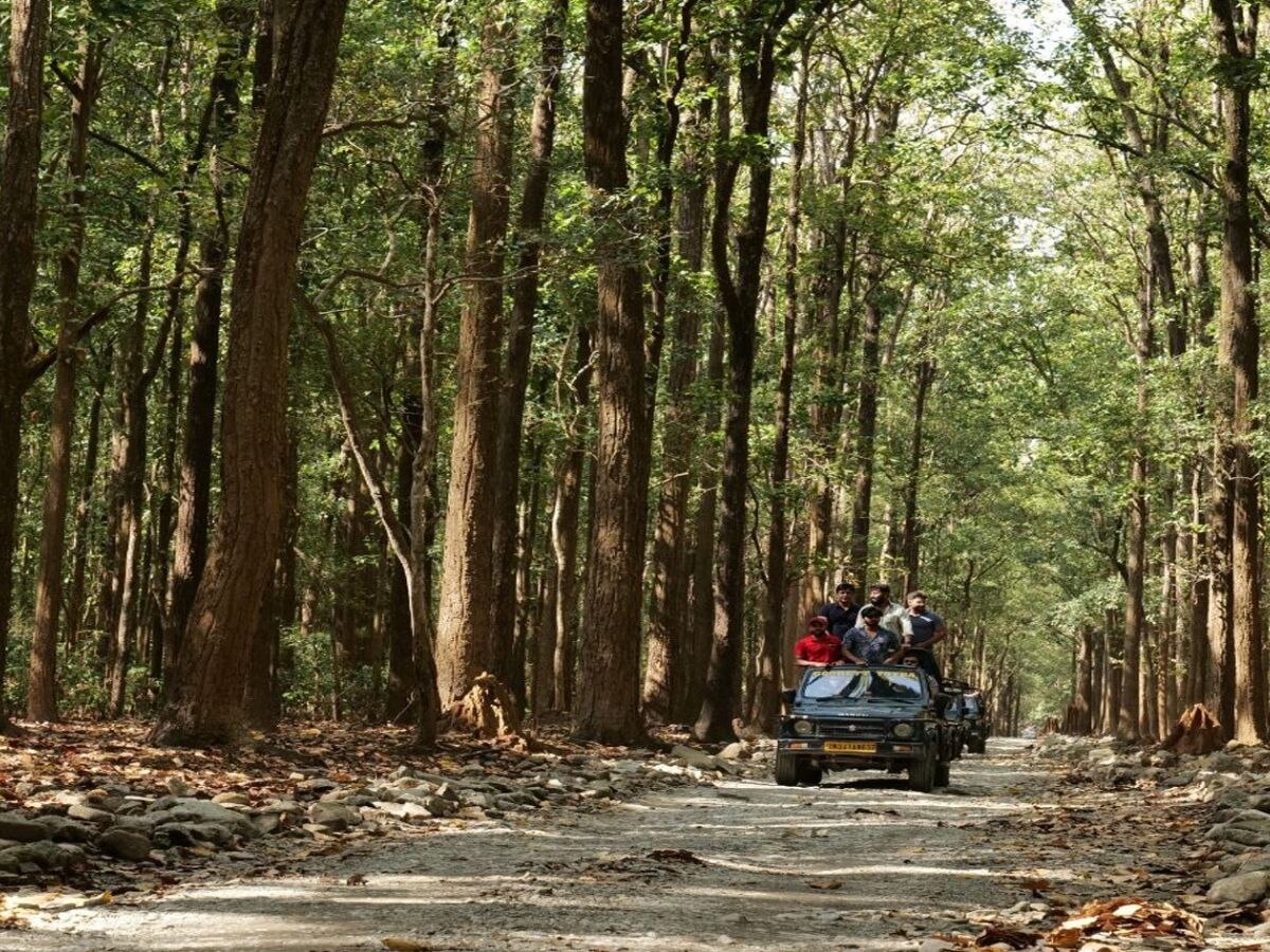 Pawalgarh Safari Zone