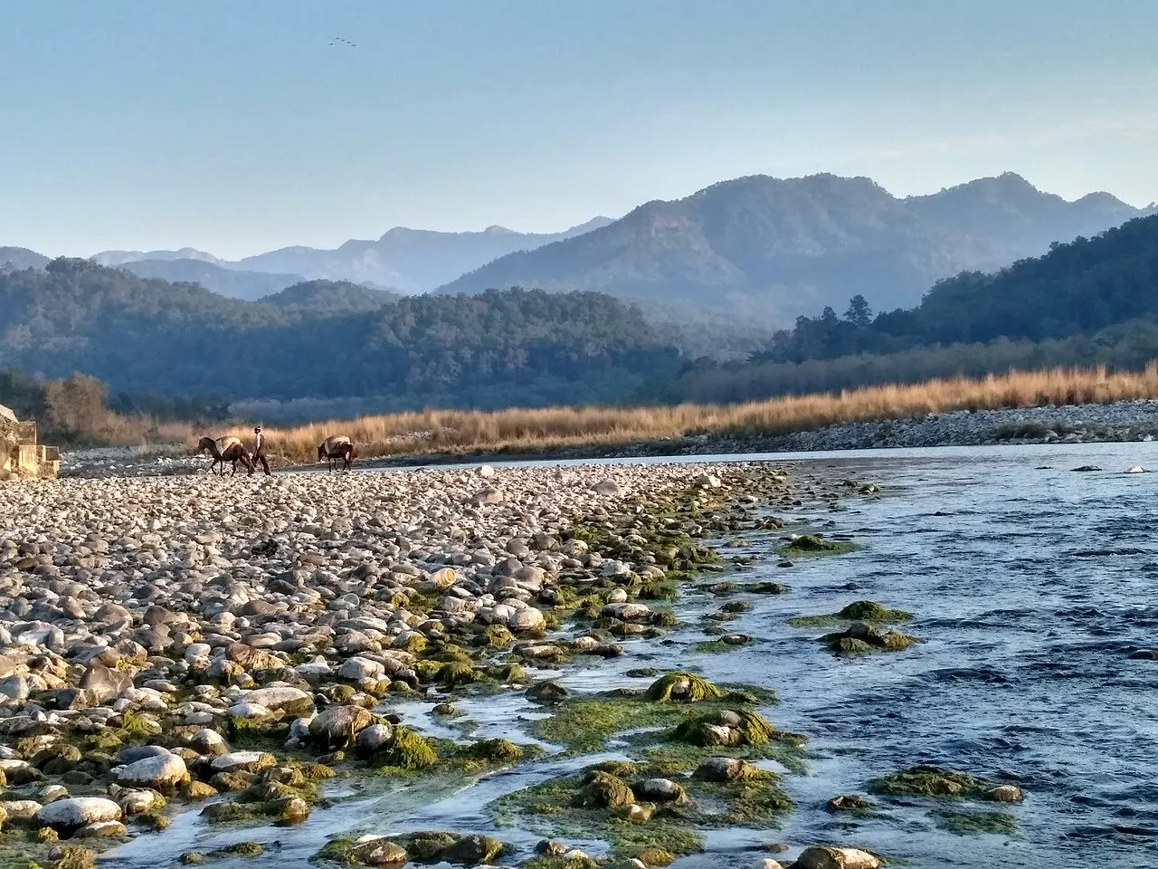 Ramnagar city, gateway to Jim Corbett National Park